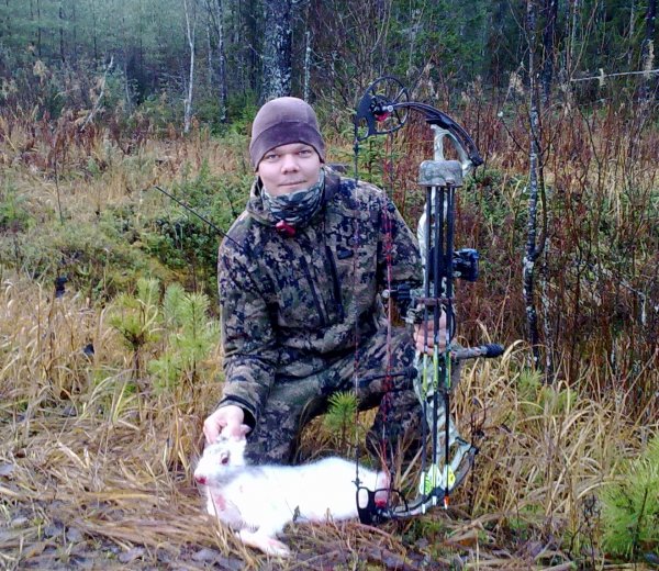Metsäjänis