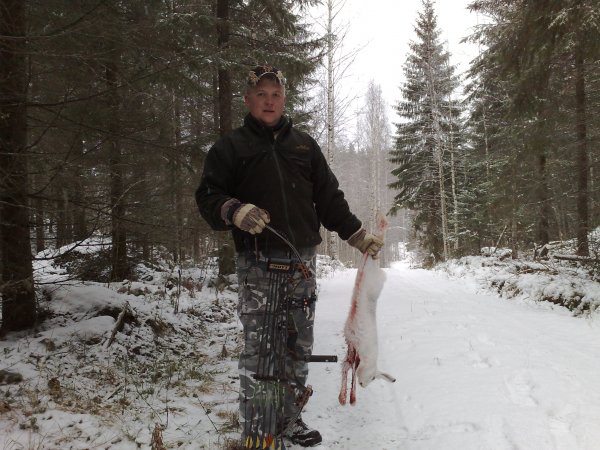 Metsäjänis