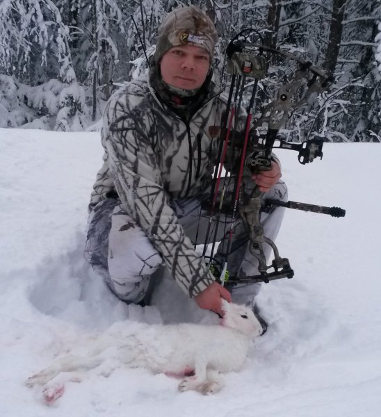 Metsäjänis