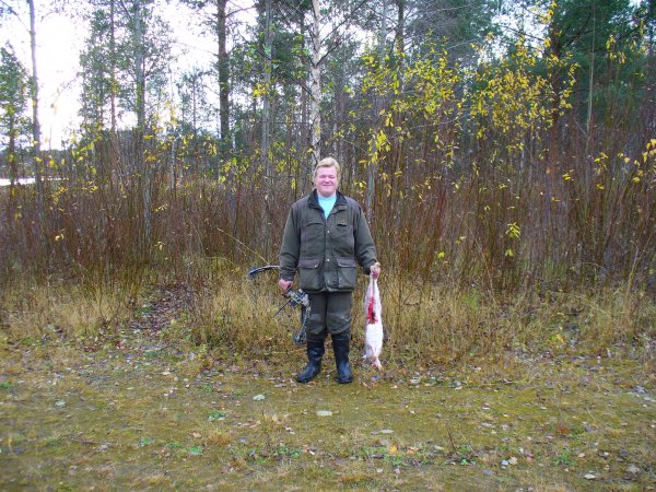 Jänis