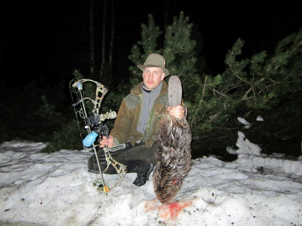 majava