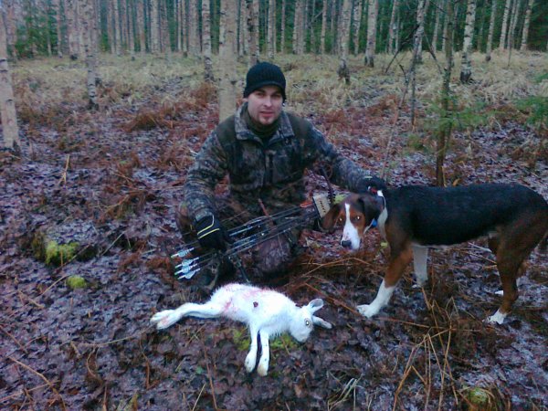 Metsäjänis