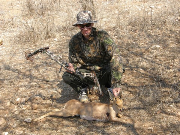 Steenbok