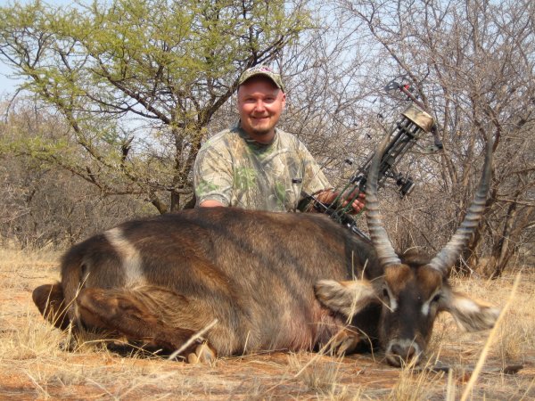 Waterbuck