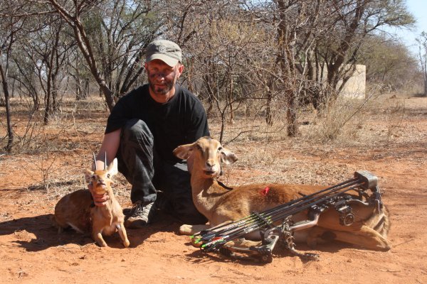 Steenbuck ja impala