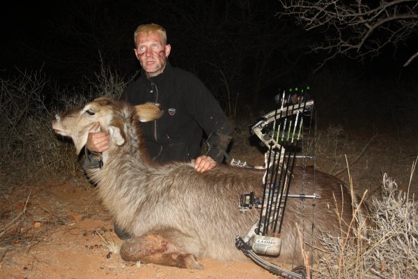 Waterbuck (narttu)